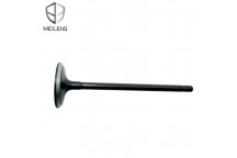 VALVE HILUX 2.0 05- INT