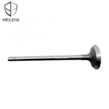 ENG VALVE REN CLIO 0.9 H4B INT