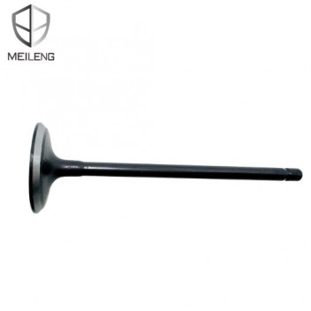 VALVE HILUX 2.0 05- INT