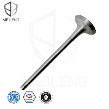 ENGINE VALVE GOLF 5 2.0 FSI AXW EXH