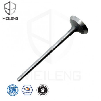 ENG VALVE REN CLIO 0.9 H4B INT