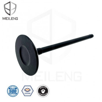 VALVE HILUX 2.0 05- INT