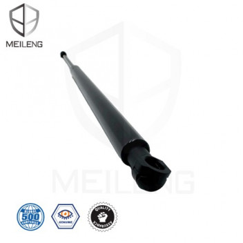 BOOT SHOCK XTRAIL 07-14 T31 L=R