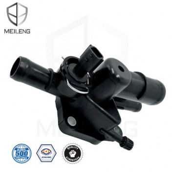 THERMOSTAT REN TRIBER