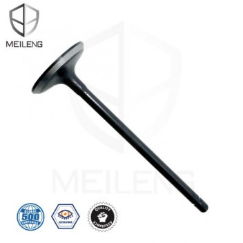 VALVE HILUX 2.0 05- INT