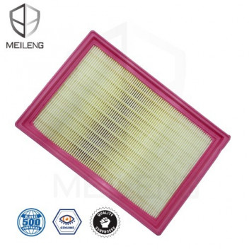 A FILTER KWID TRIBER MAGINTE REN NISS